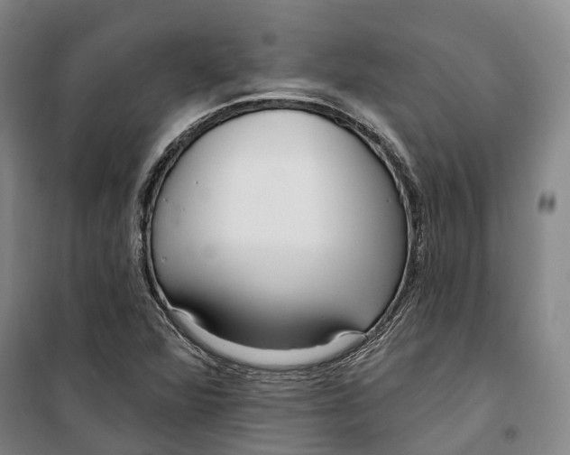 X0000099581360200806061617