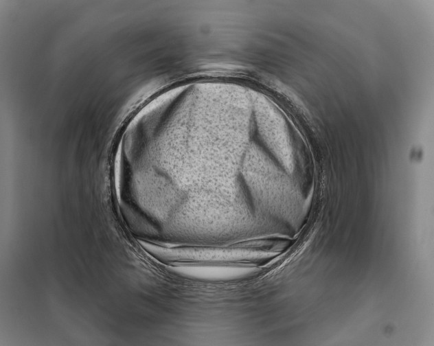 X0000099581362200806061617