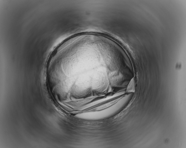 X0000099581367200806061617