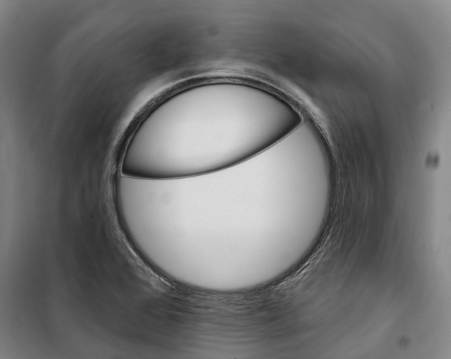 X0000099581368200806061617