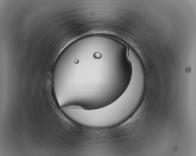 X0000099581369200806061617