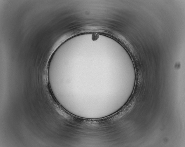 X0000099581370200806061617