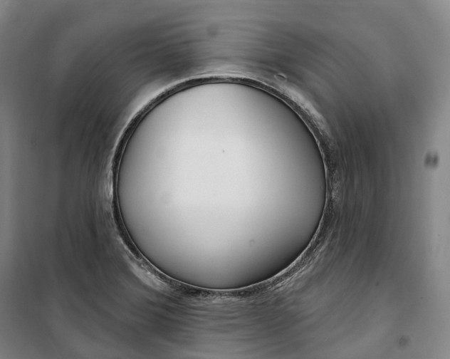 X0000099581372200806061617