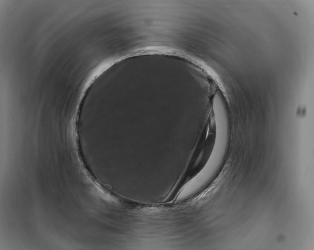 X0000099581373200806061617