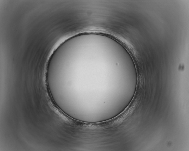 X0000099581374200806061617