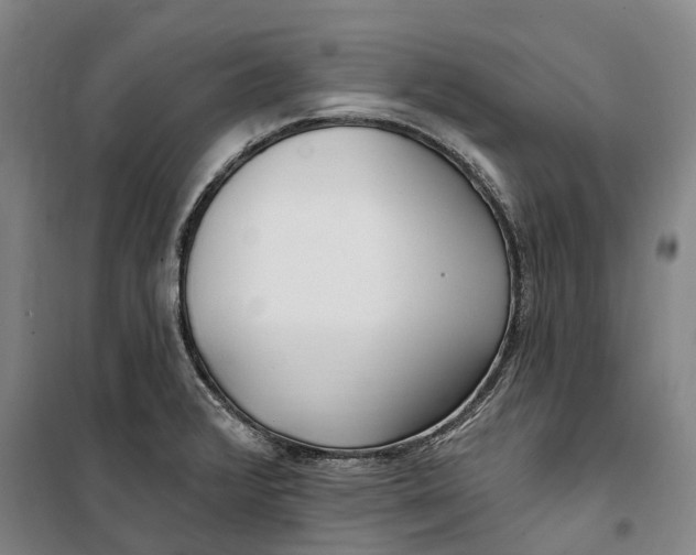 X0000099581376200806061617