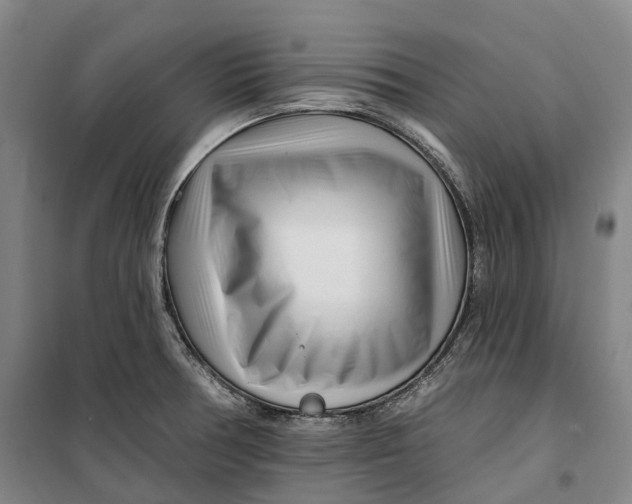 X0000099581378200806061617