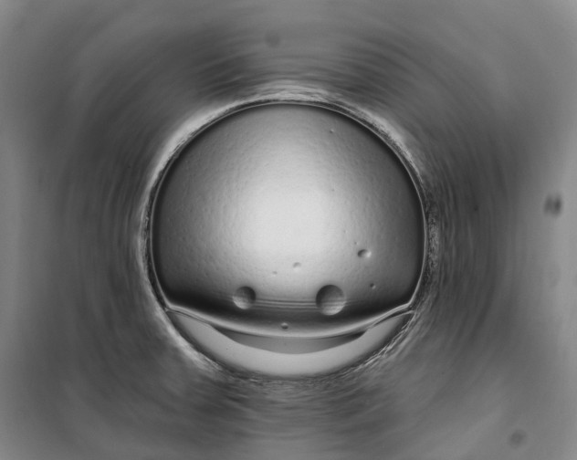 X0000099581379200806061617