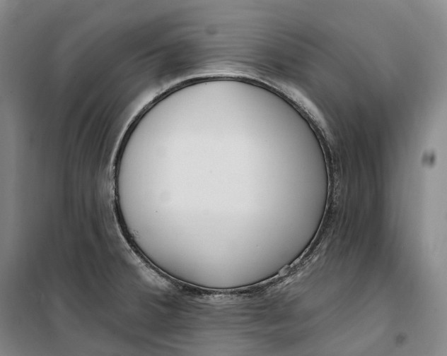 X0000099581380200806061617