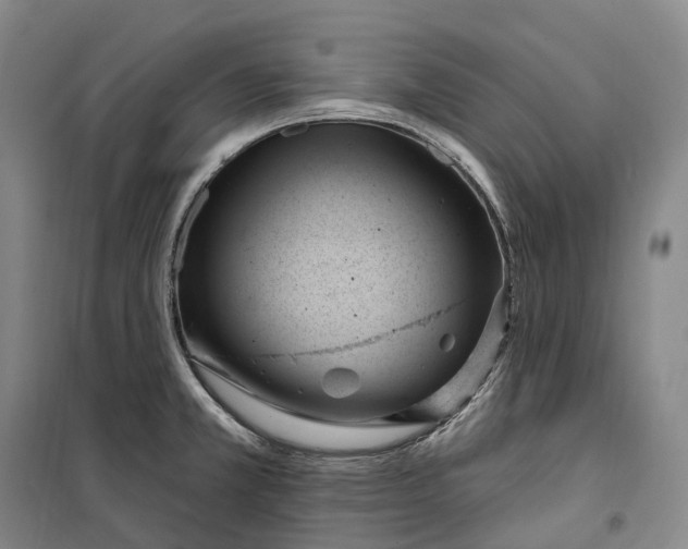 X0000099581381200806061617