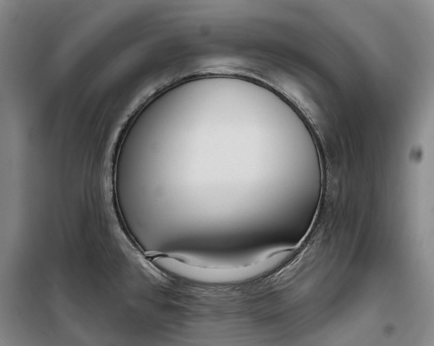 X0000099581384200806061617