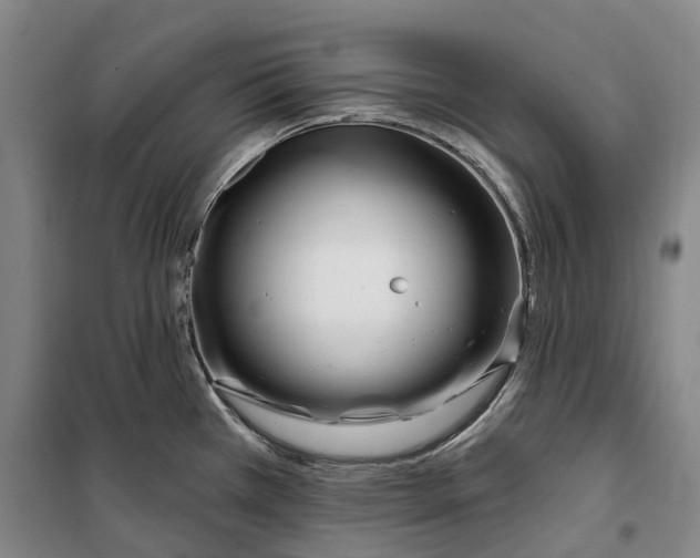 X0000099581385200806061617