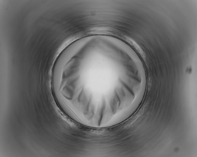 X0000099581386200806061617