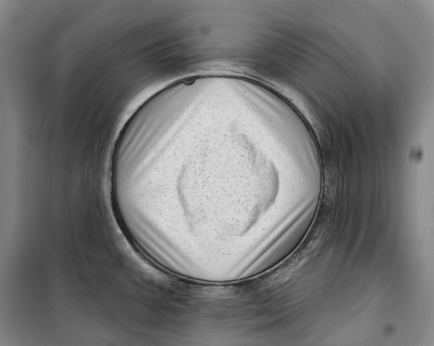 X0000099581387200806061616