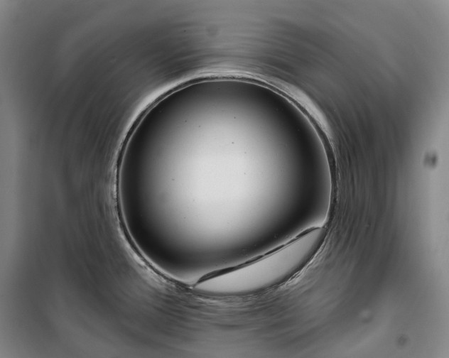 X0000099581388200806061616