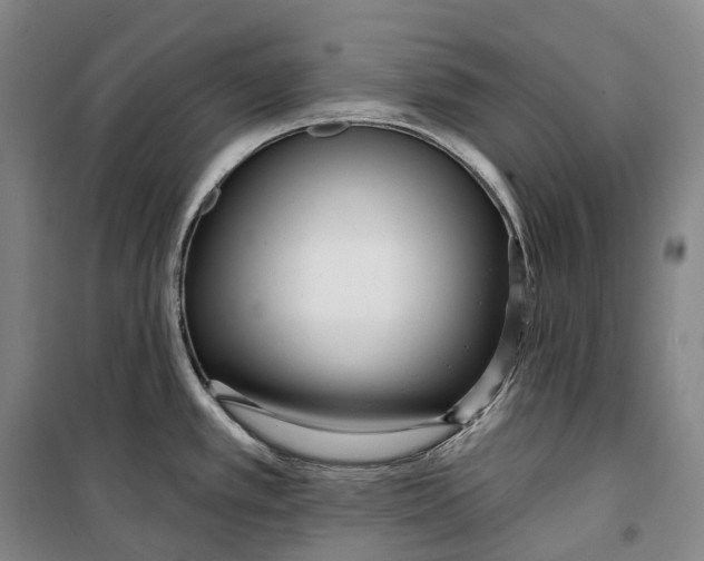 X0000099581389200806061616