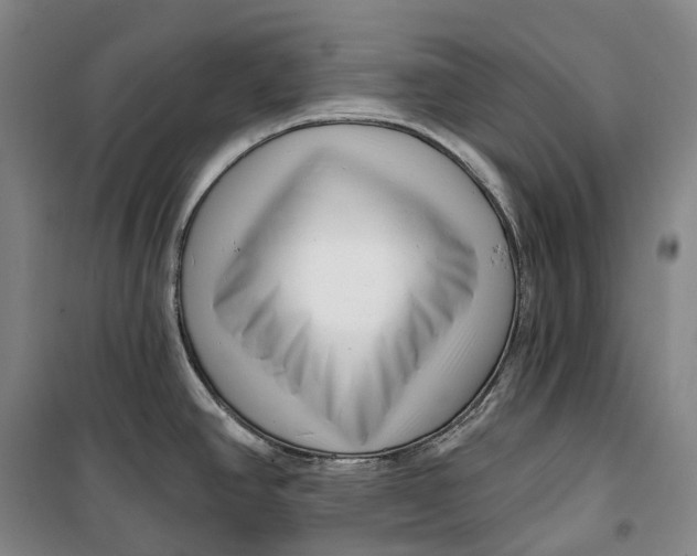 X0000099581390200806061616