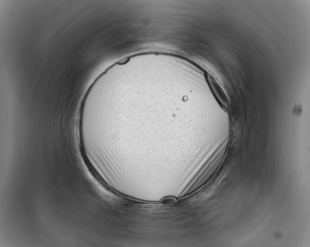 X0000099581391200806061616