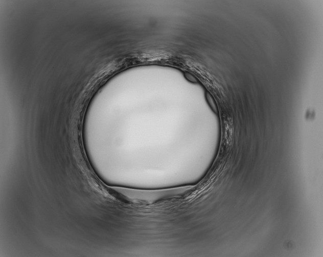 X0000099581393200806061616