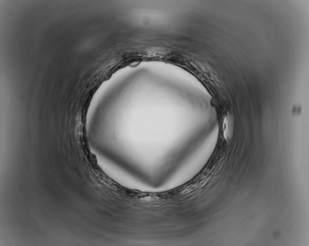 X0000099581395200806061616