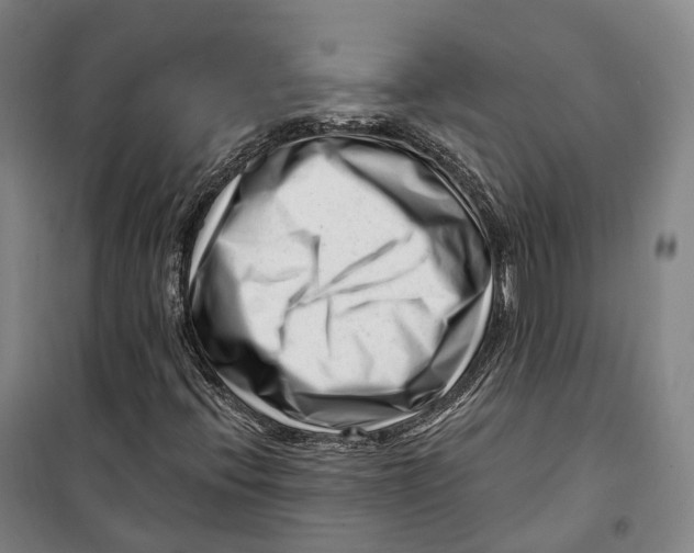 X0000099581396200806061616