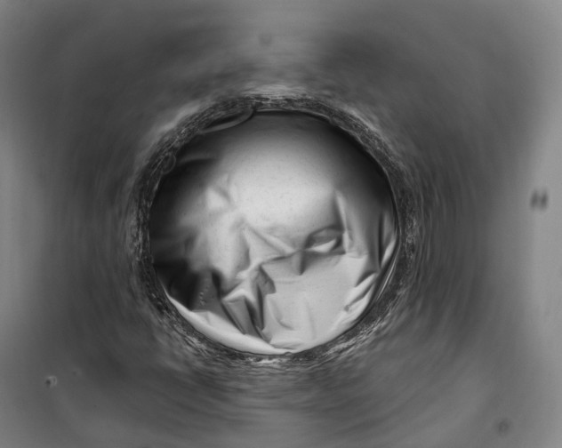 X0000099581398200806061616