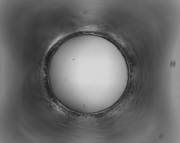 X0000099581400200806061616