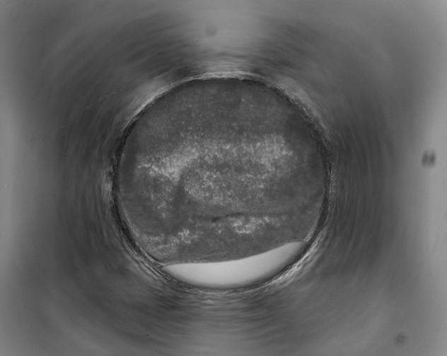 X0000099581401200806061616