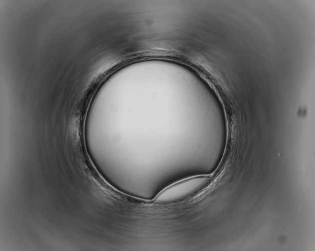 X0000099581402200806061616