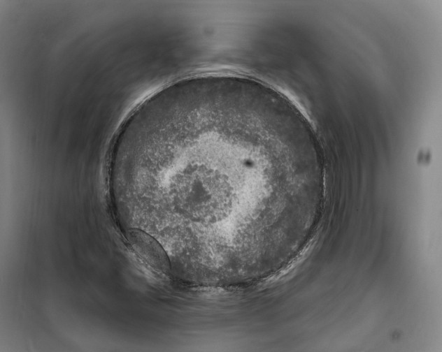 X0000099581405200806061616