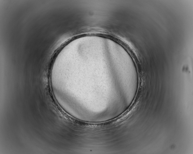 X0000099581407200806061616