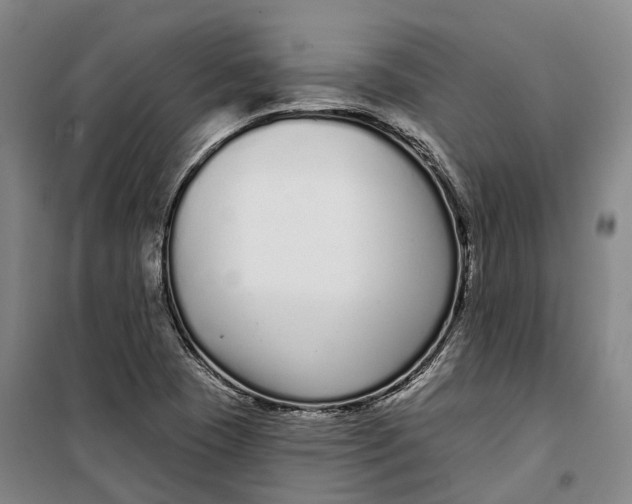 X0000099581409200806061616