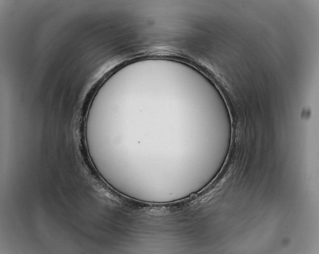 X0000099581410200806061616