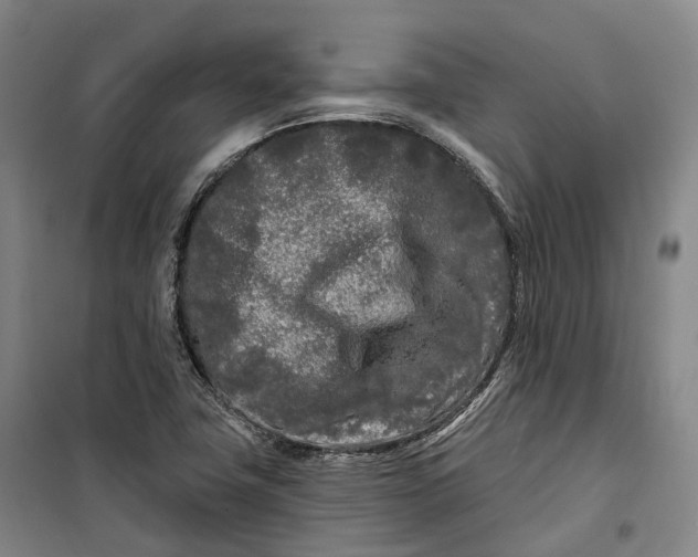 X0000099581411200806061616