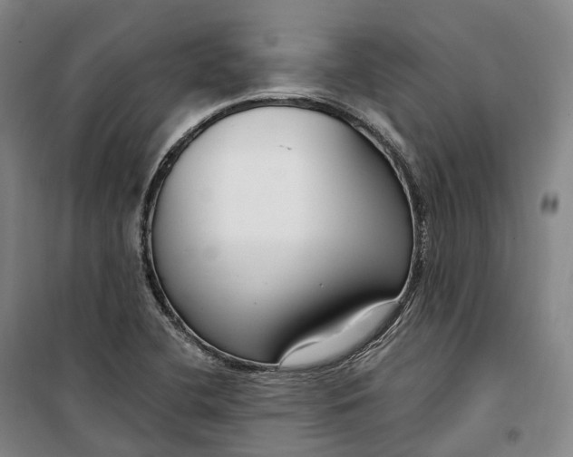 X0000099581412200806061616