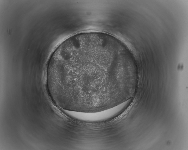 X0000099581413200806061616