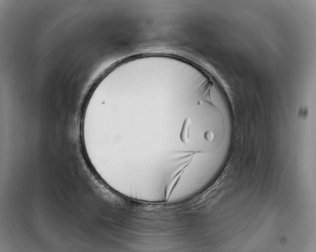 X0000099581416200806061616