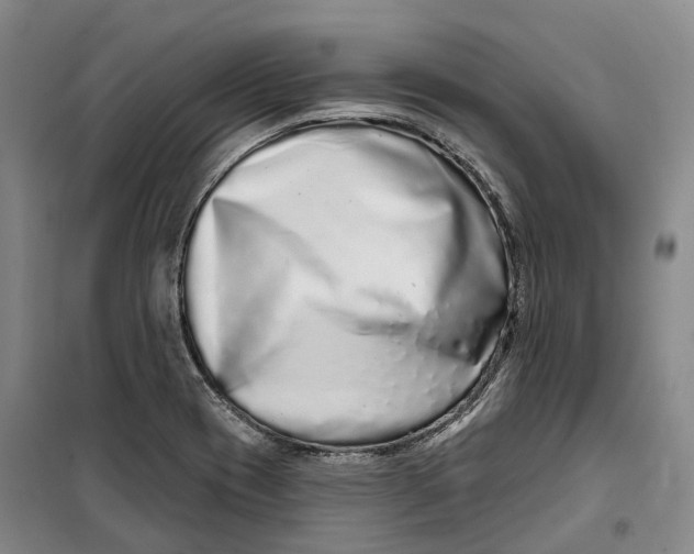 X0000099581417200806061616