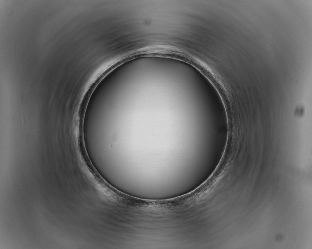 X0000099581418200806061616