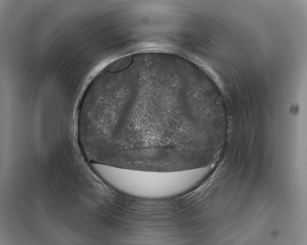 X0000099581419200806061616