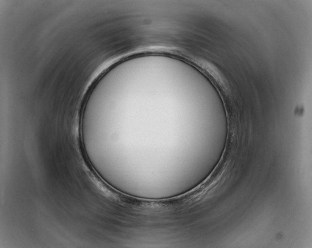 X0000099581420200806061616