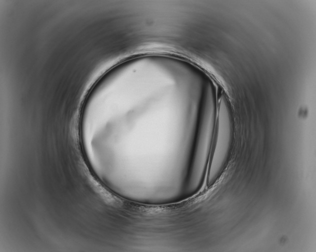 X0000099581421200806061616