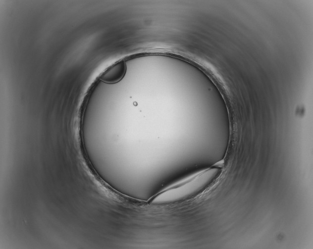 X0000099581424200806061616