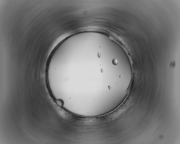 X0000099581426200806061616