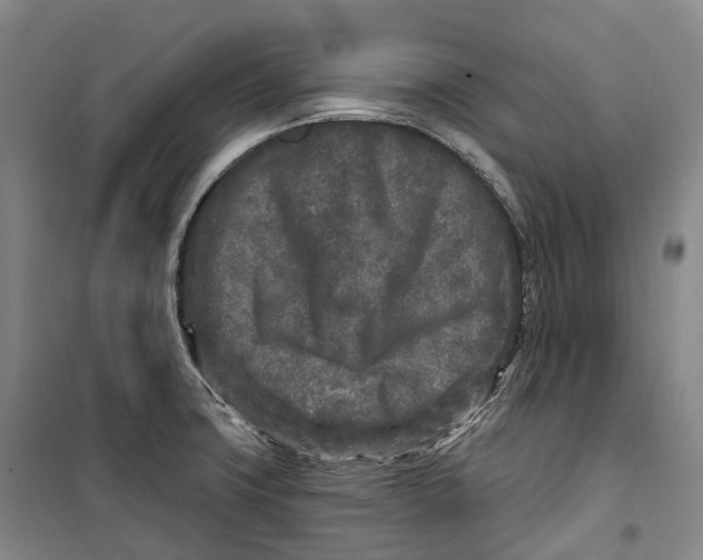 X0000099581427200806061616