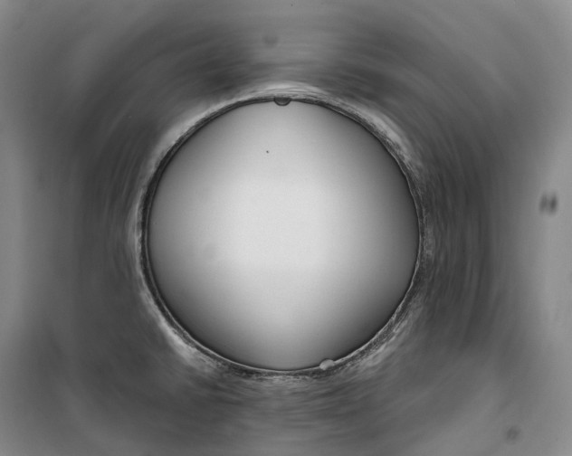 X0000099581430200806061616