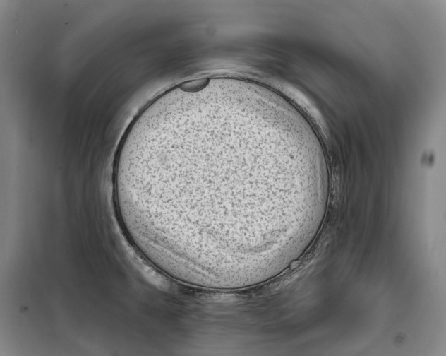 X0000099581431200806061616