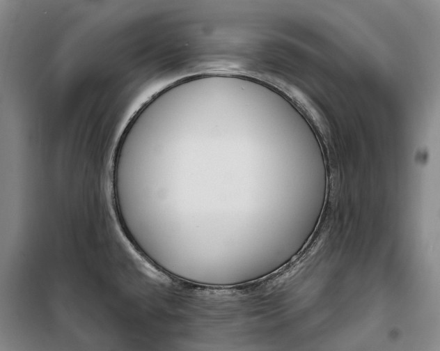 X0000099581432200806061616