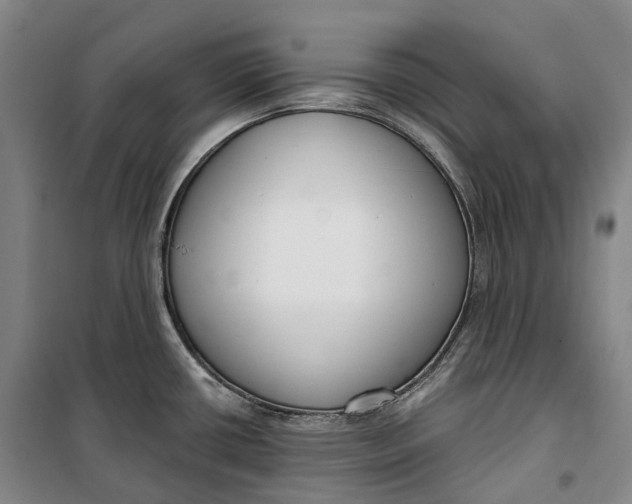 X0000099581434200806061616