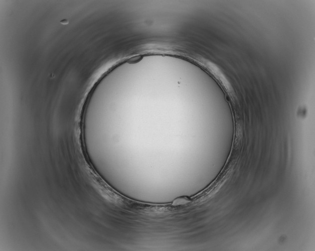 X0000099581435200806061616